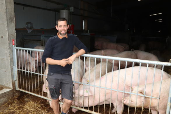 Un élevage de porcs bio cohérent conçu pour être performant  Pleinchamp