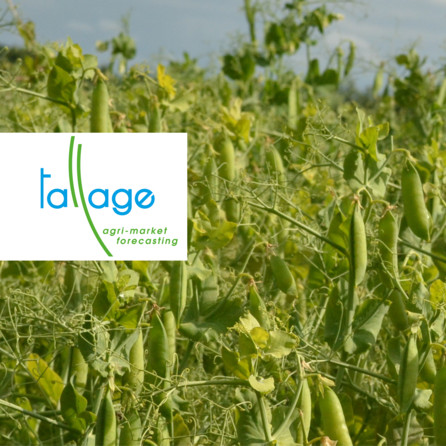 Meteo Agricole Montauban 82000 Tarn Et Garonne 82 Previsions Jusqu A 15 Jours Pleinchamp