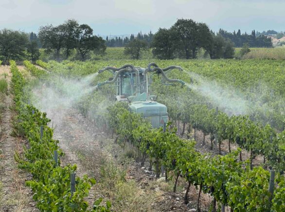 Main Contamine Les vins européens, très contaminés, et de plus en plus, au TFA, un ...
