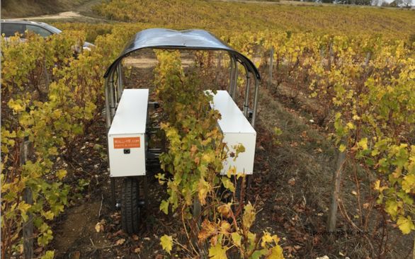 La Taille Des Arbres En 7 Lettres La Taille En Passe D Etre Robotisee Avec Myce De Wall Ye Pleinchamp