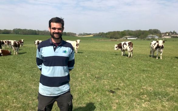 Surplus De Lait Nous Nous Lancons Dans La Fabrication De Beurre Pleinchamp