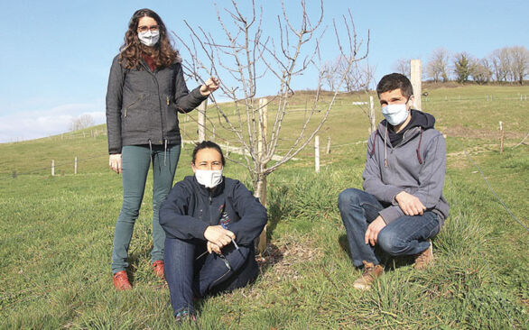 Au Moins Un Fruitier Par Exploitation Garant Du Maintien Des Savoir 