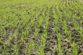 Meteo Agricole Tours 37200 Indre Et Loire 37 Previsions Heure Par Heure Pleinchamp