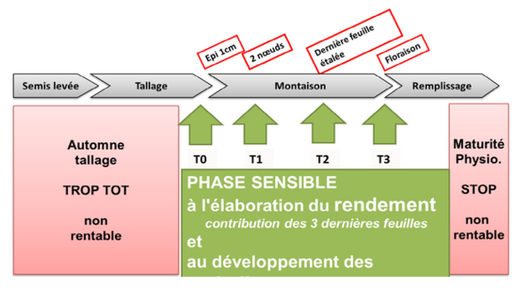 Ble Tendre Un Premier Traitement Fongicide Est Il Necessaire Pleinchamp