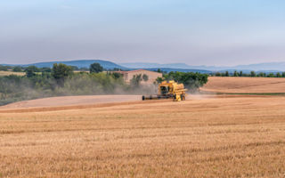 Ble Dur Rendement Record Mais Production En Forte Baisse Pleinchamp