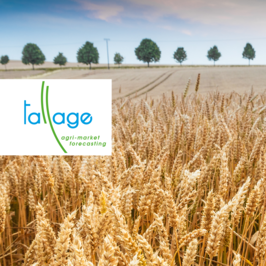 meteo agricole angers 49000 maine et loire 49 previsions heure par heure pleinchamp